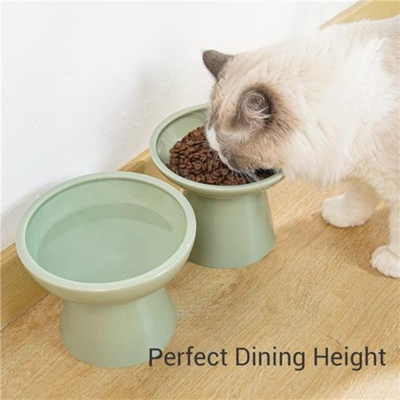 2 Extra Wide Elevated Cat Food Bowl, Ceramic Cat Bowls for Food and Water, Wide - Picture 4 of 6